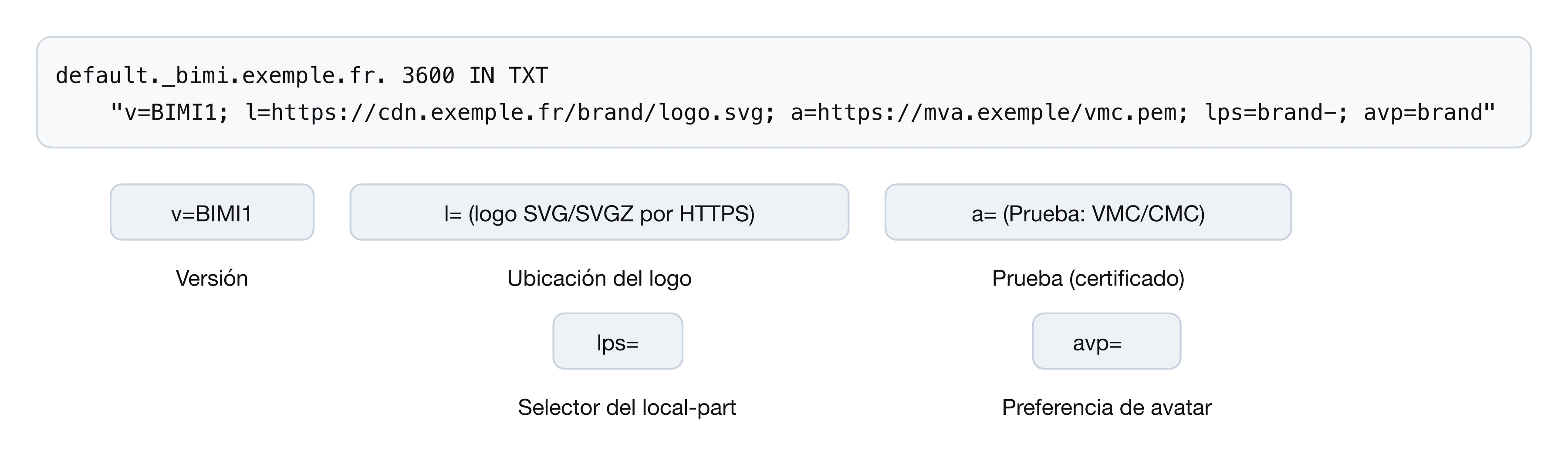 Anatomía de un registro BIMI