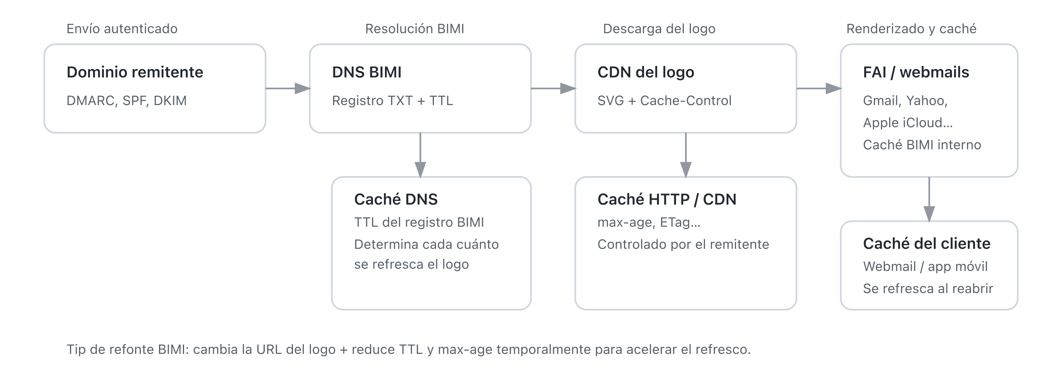 Cronología de propagación y caché de un logo BIMI