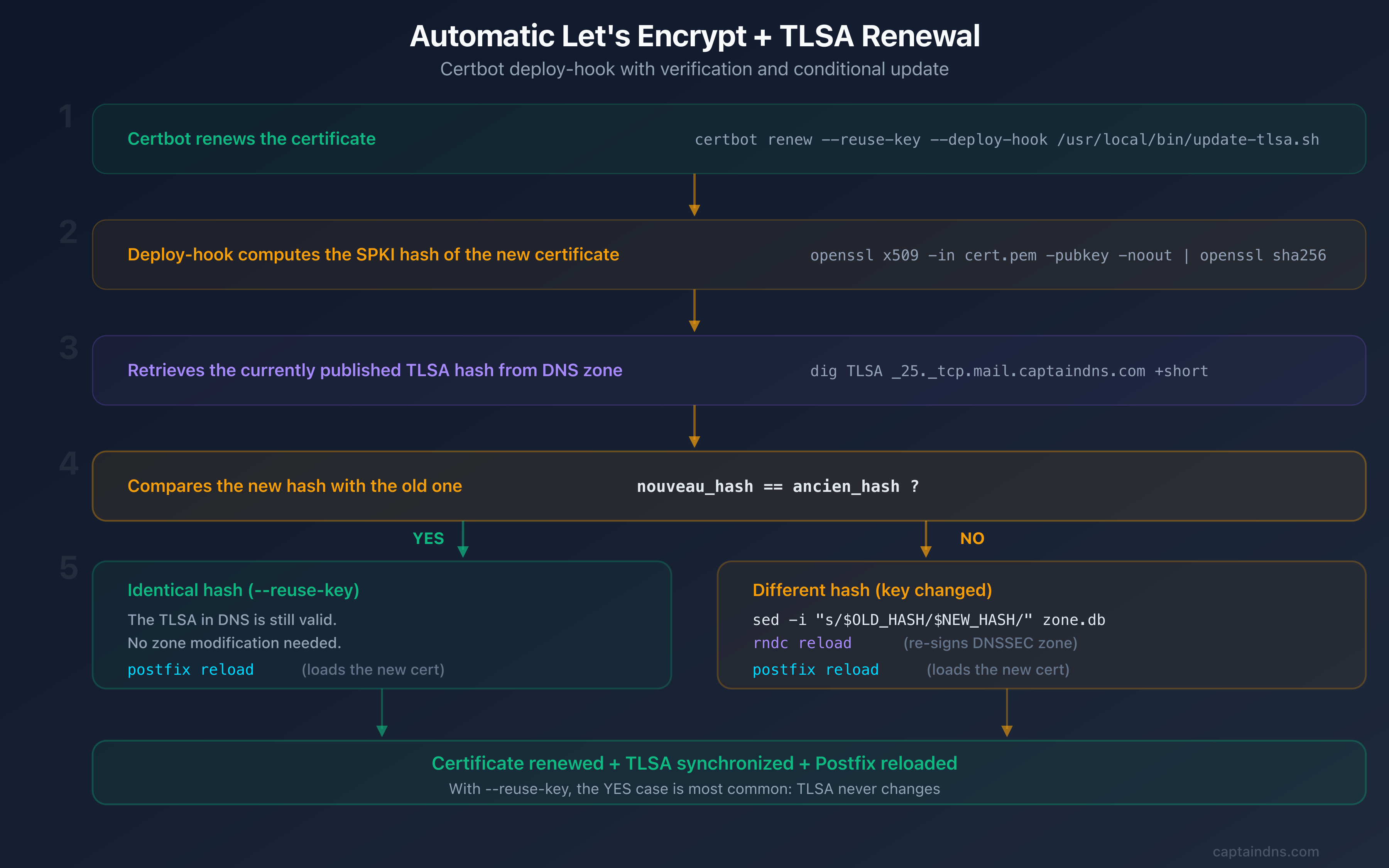 Automatic renewal flow: Certbot renews the certificate, the deploy-hook checks the SPKI hash and updates the TLSA in Bind9 if needed
