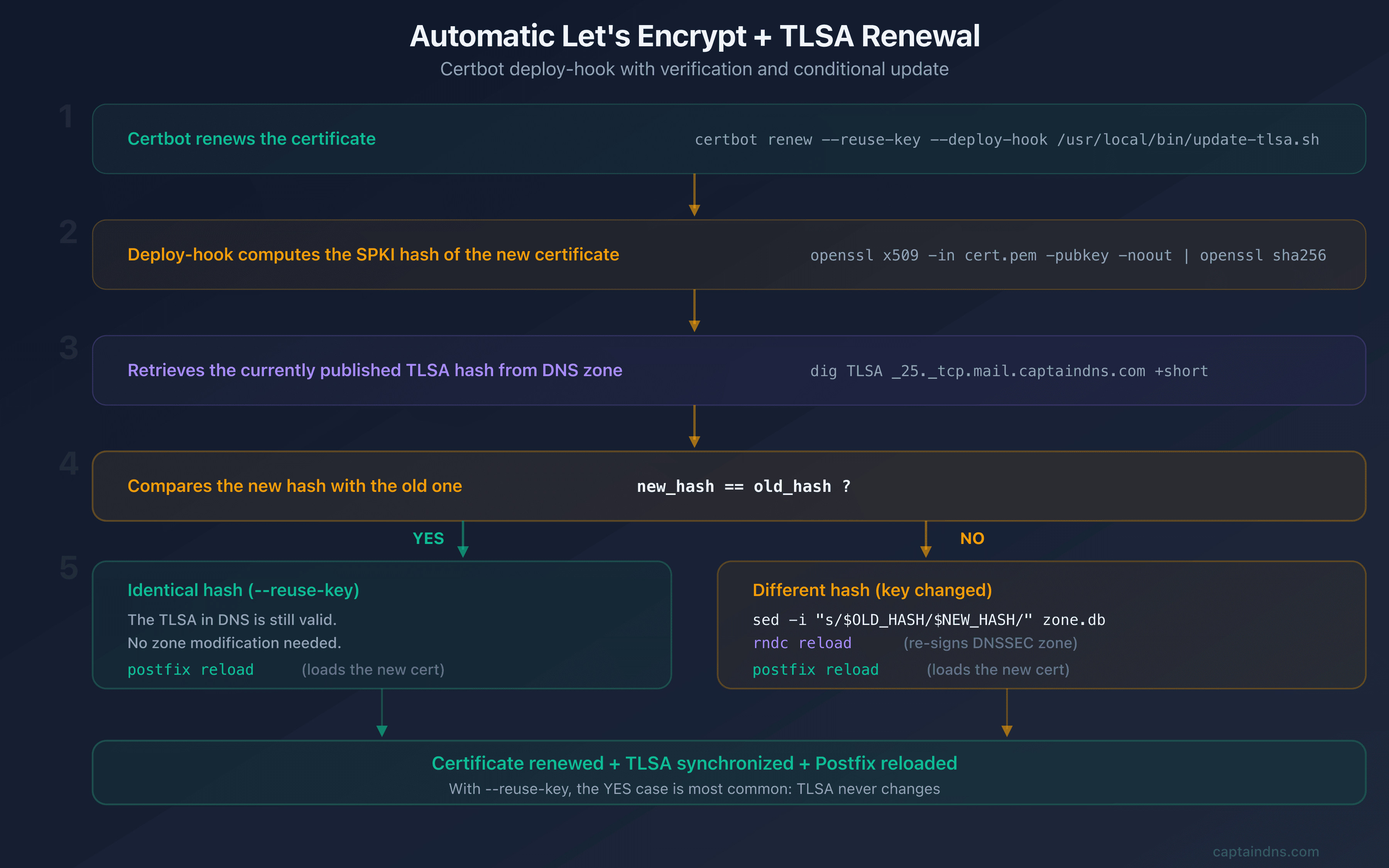 Automatic renewal flow: Certbot renews the certificate, the deploy-hook checks the SPKI hash and updates the TLSA in Bind9 if needed