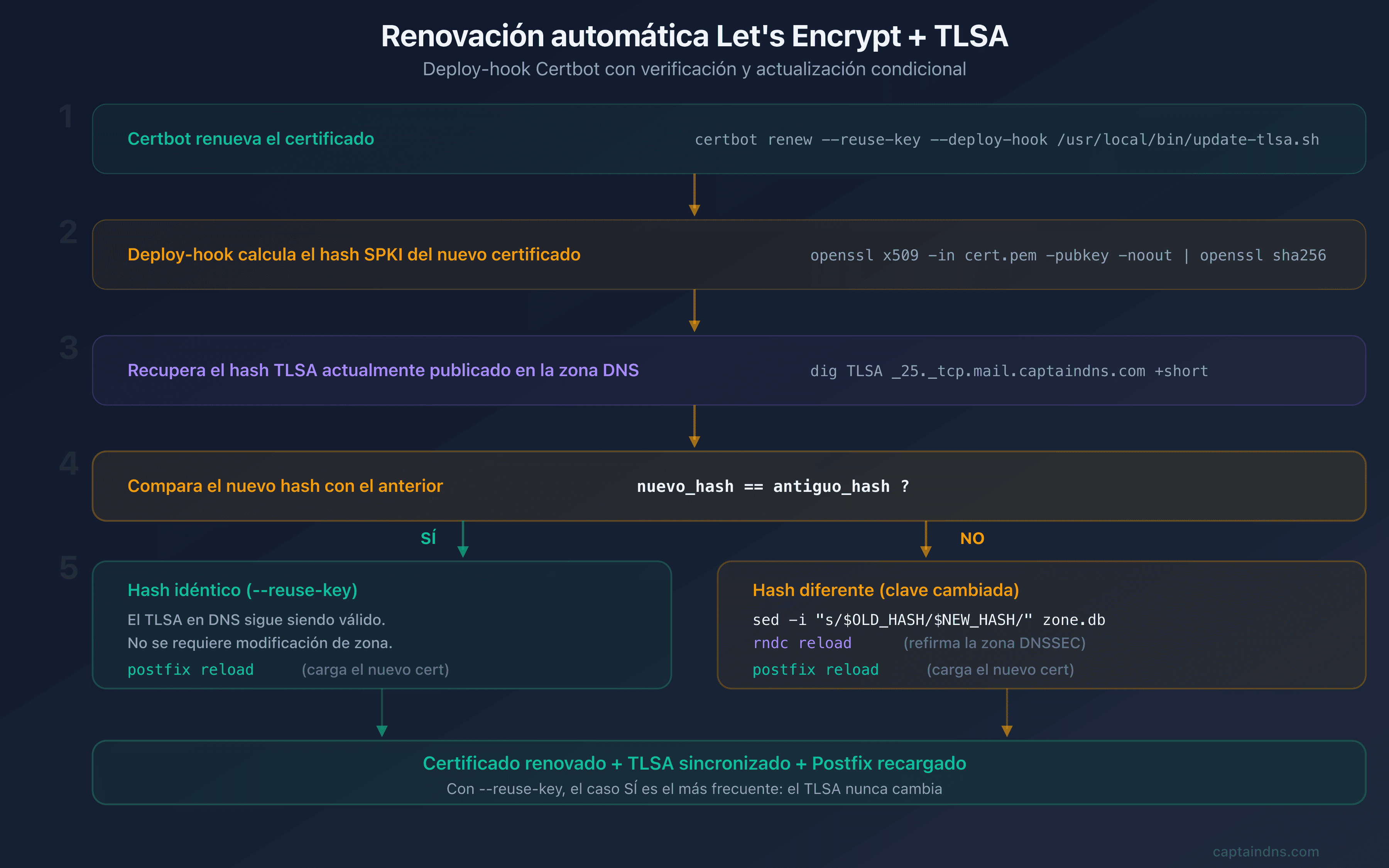 Flujo de renovación automática: Certbot renueva el certificado, el deploy-hook verifica el hash SPKI y actualiza el TLSA en Bind9 si es necesario
