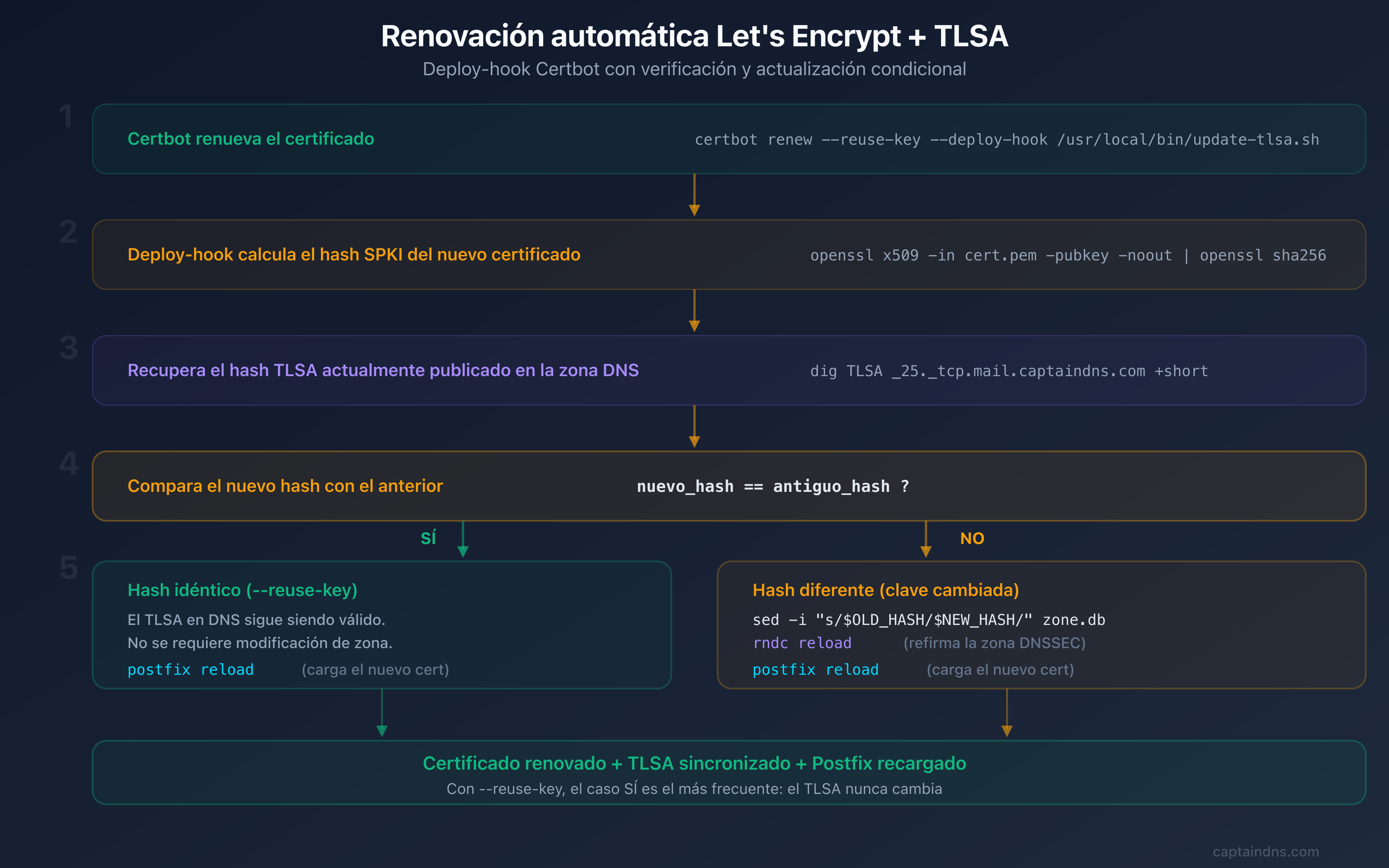 Flujo de renovación automática: Certbot renueva el certificado, el deploy-hook verifica el hash SPKI y actualiza el TLSA en Bind9 si es necesario