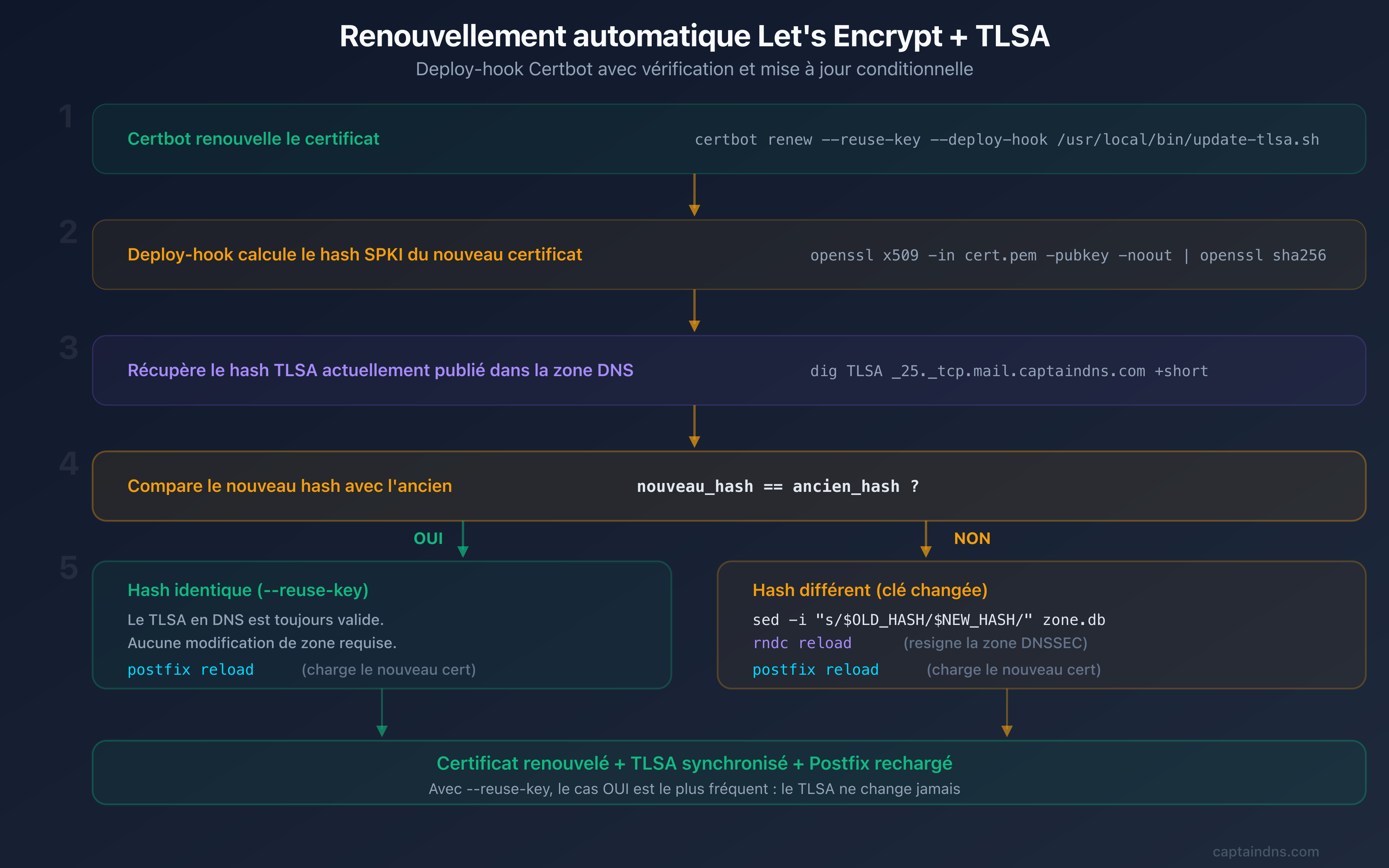 Flux de renouvellement automatique : Certbot renouvelle le certificat, le deploy-hook vérifie le hash SPKI et met à jour le TLSA dans Bind9 si nécessaire