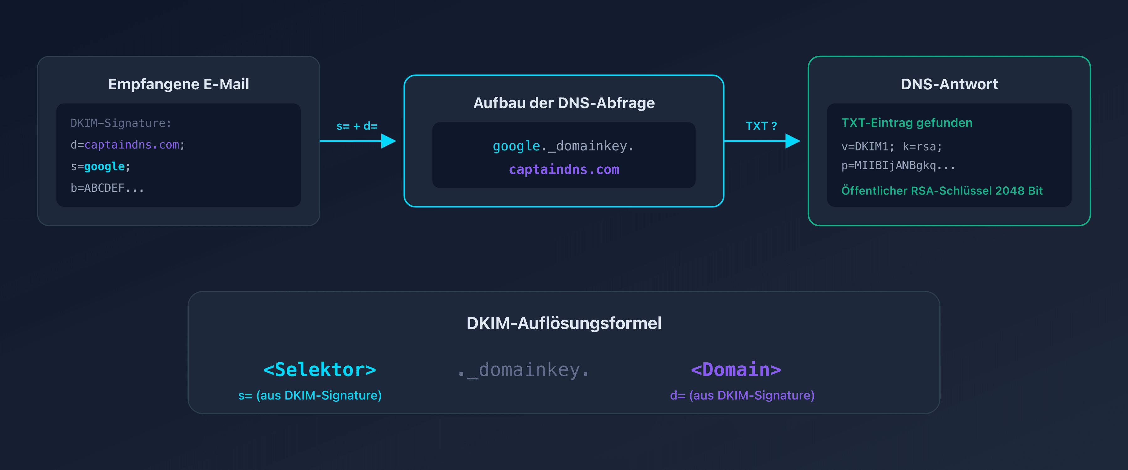 Schema der Funktionsweise des DKIM-Selektors im DNS