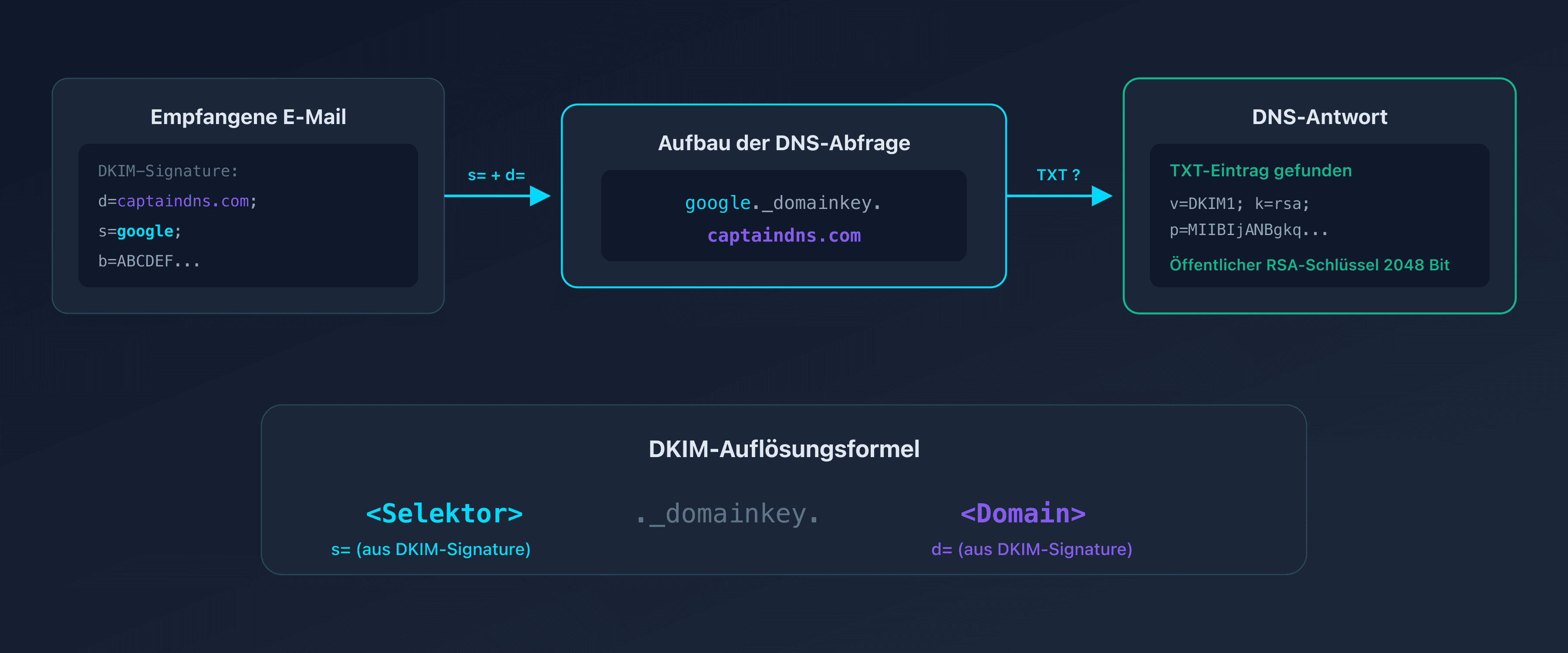 Schema der Funktionsweise des DKIM-Selektors im DNS