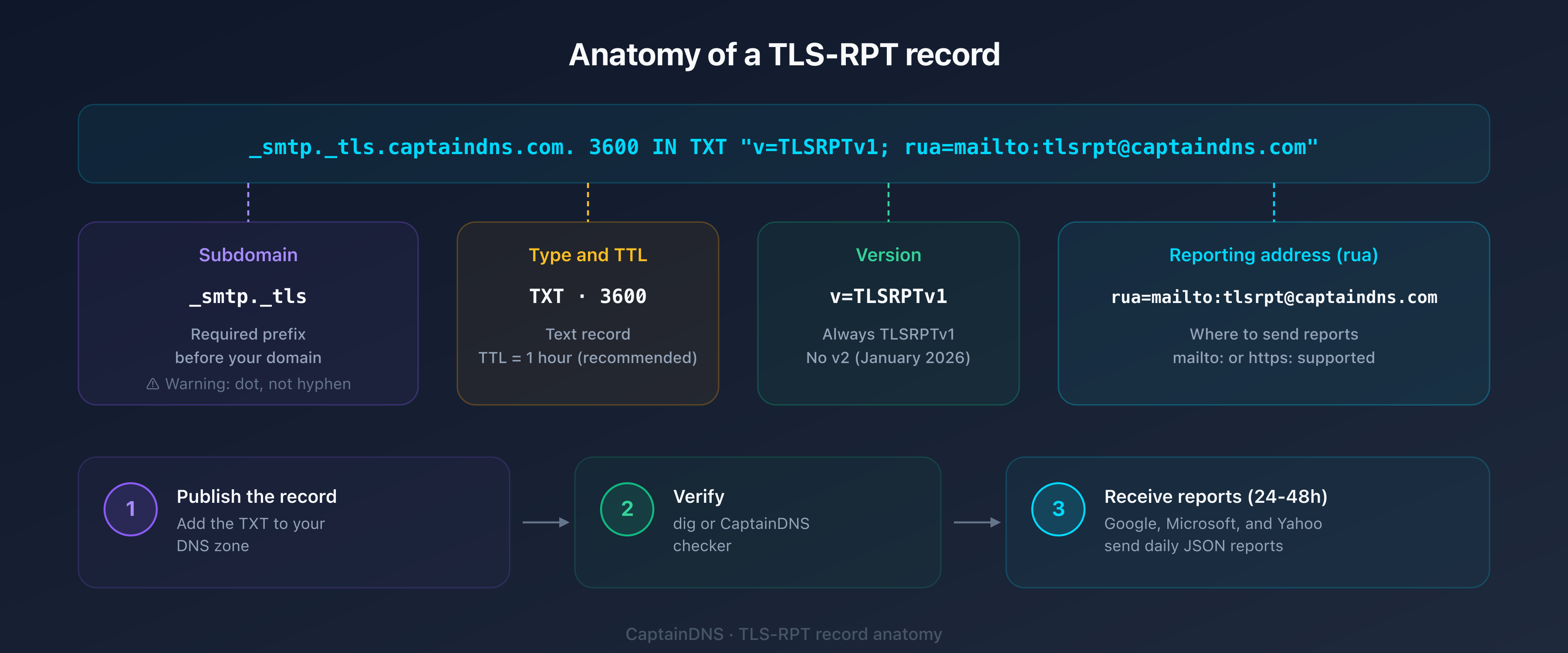 Anatomy of a TLS-RPT DNS record: host _smtp._tls, type TXT, value v=TLSRPTv1, and rua directive