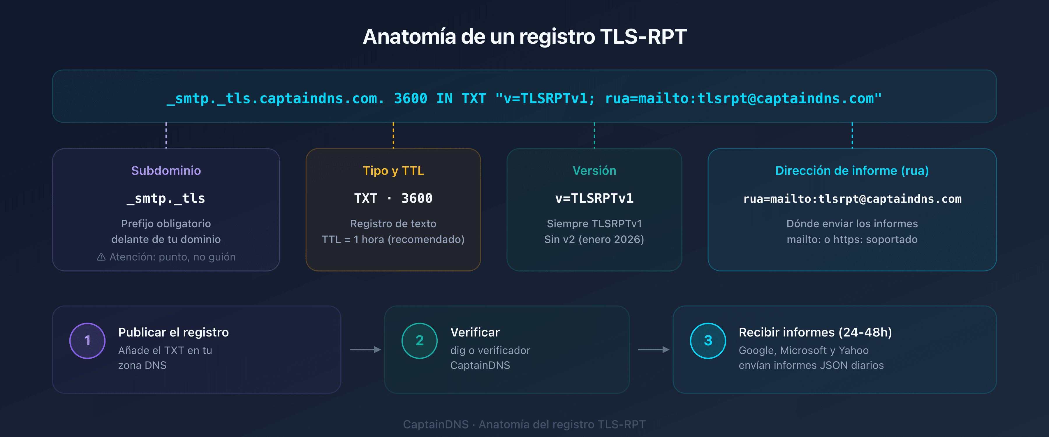 Anatomía de un registro DNS TLS-RPT: host _smtp._tls, tipo TXT, valor v=TLSRPTv1 y directiva rua
