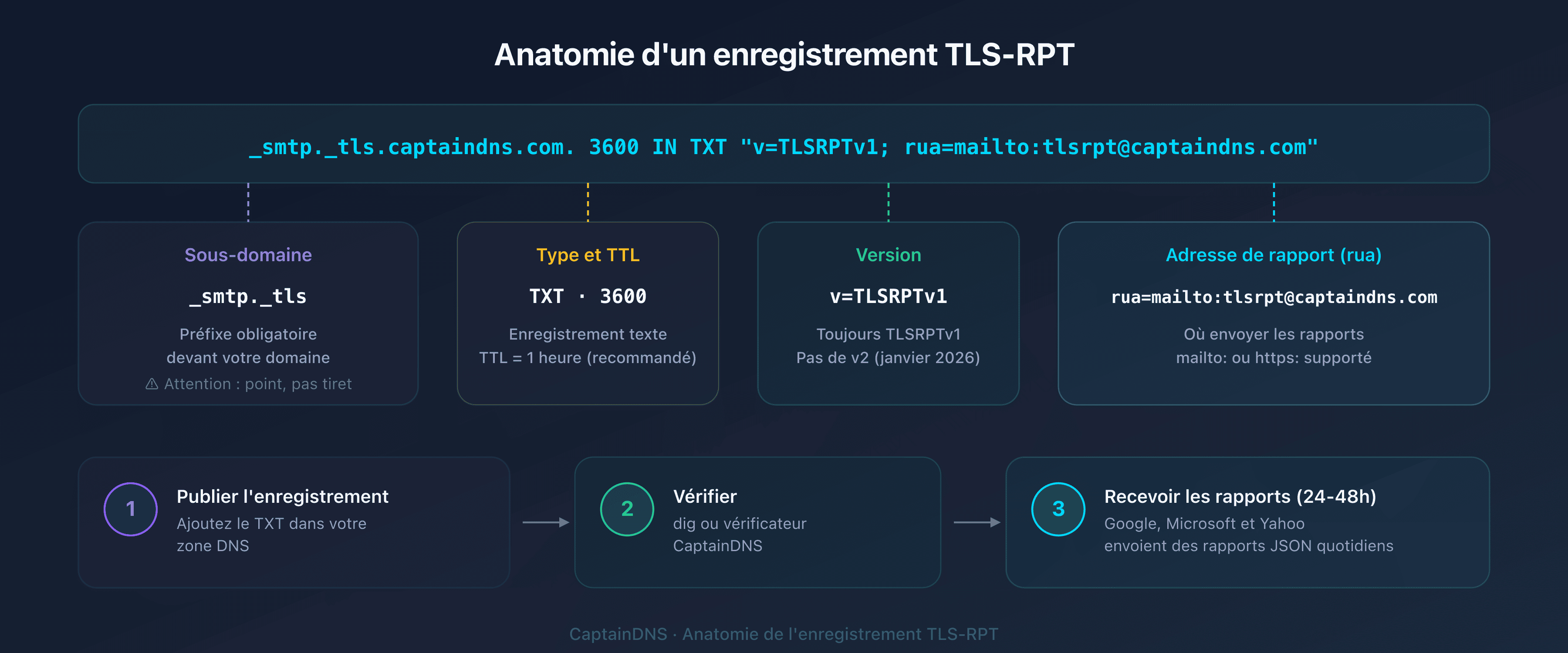Anatomie d'un enregistrement DNS TLS-RPT : hôte _smtp._tls, type TXT, valeur v=TLSRPTv1 et directive rua