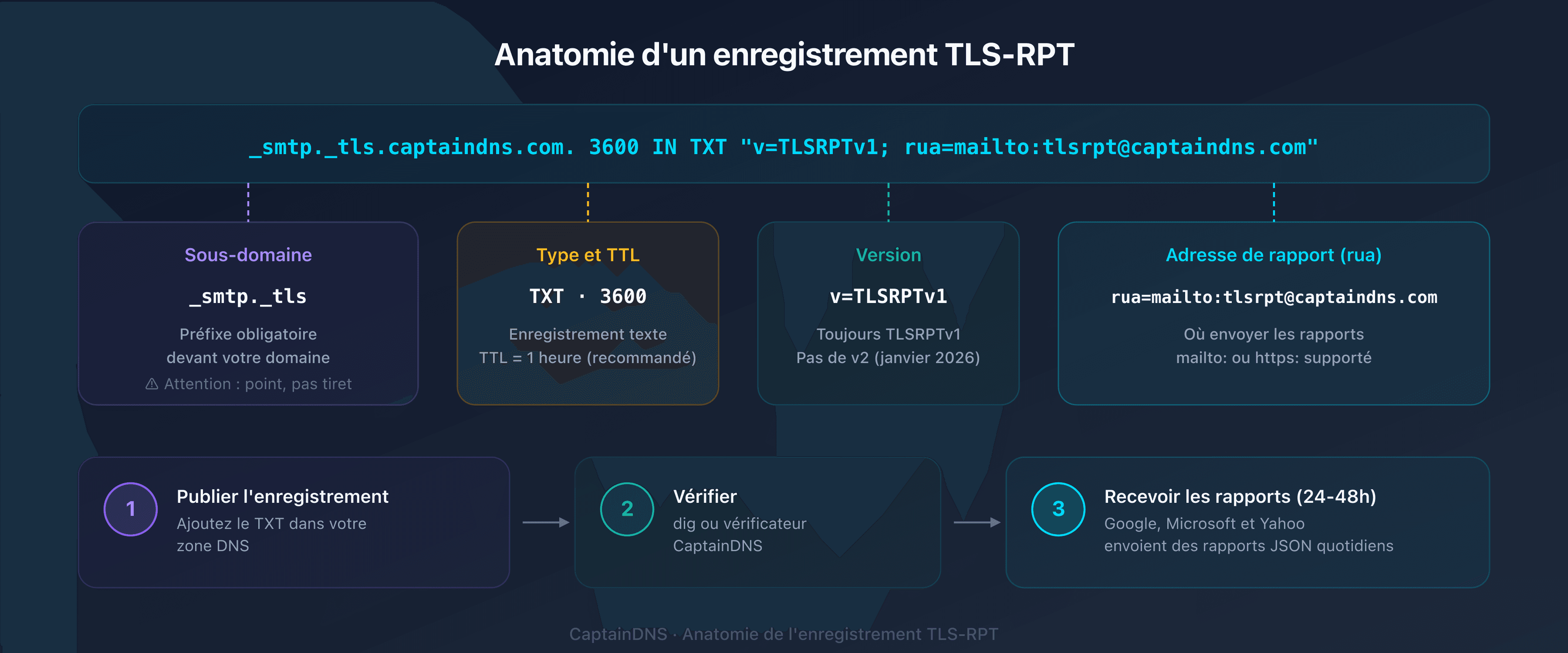 Anatomie d'un enregistrement DNS TLS-RPT : hôte _smtp._tls, type TXT, valeur v=TLSRPTv1 et directive rua