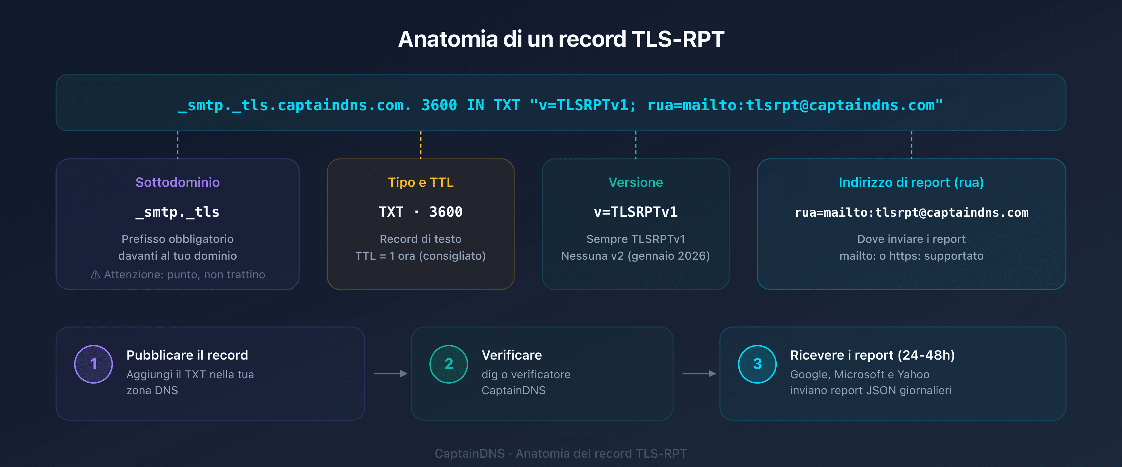 Anatomia di un record DNS TLS-RPT: host _smtp._tls, tipo TXT, valore v=TLSRPTv1 e direttiva rua