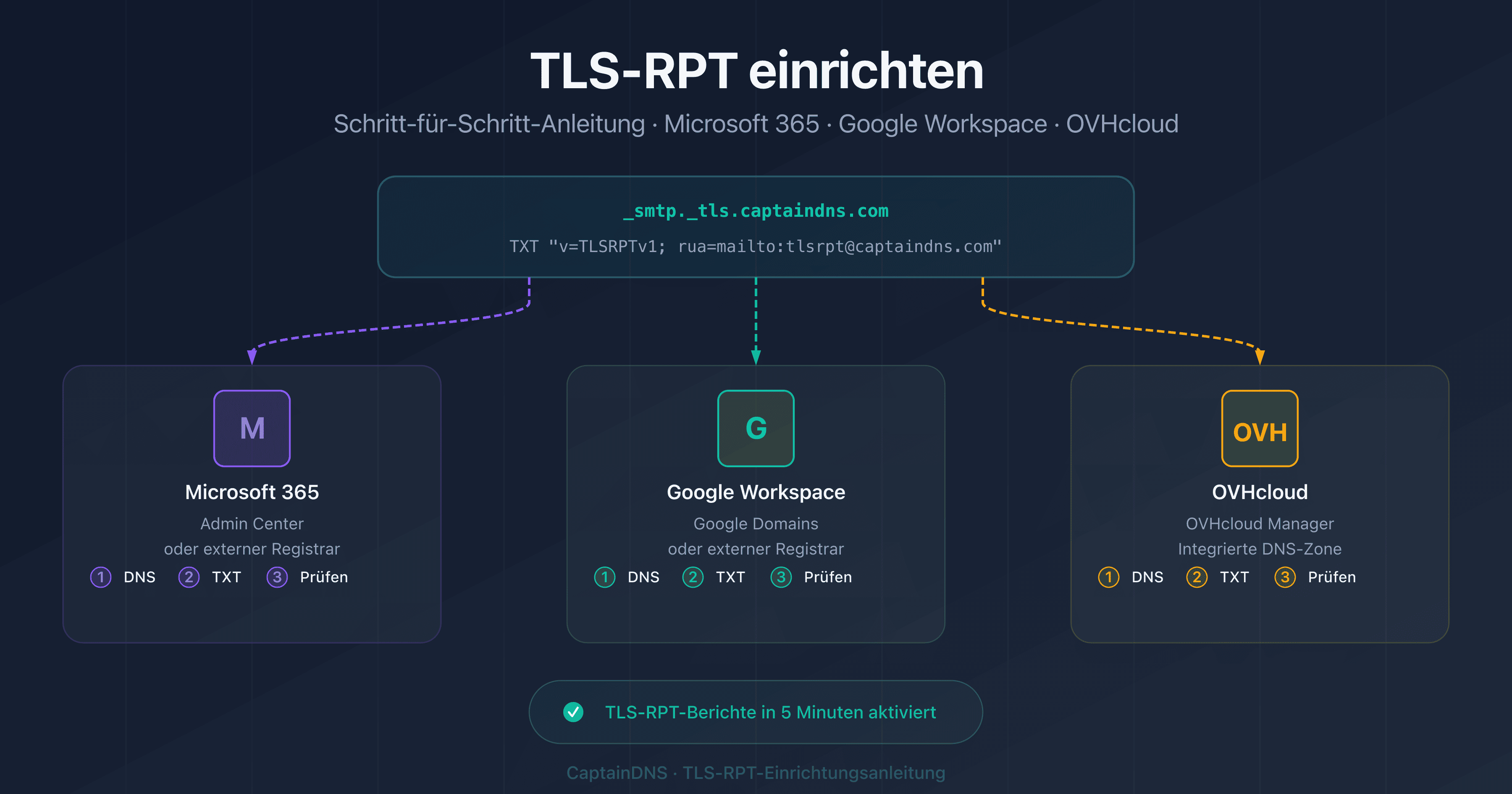 TLS-RPT auf Microsoft 365, Google Workspace und OVHcloud einrichten
