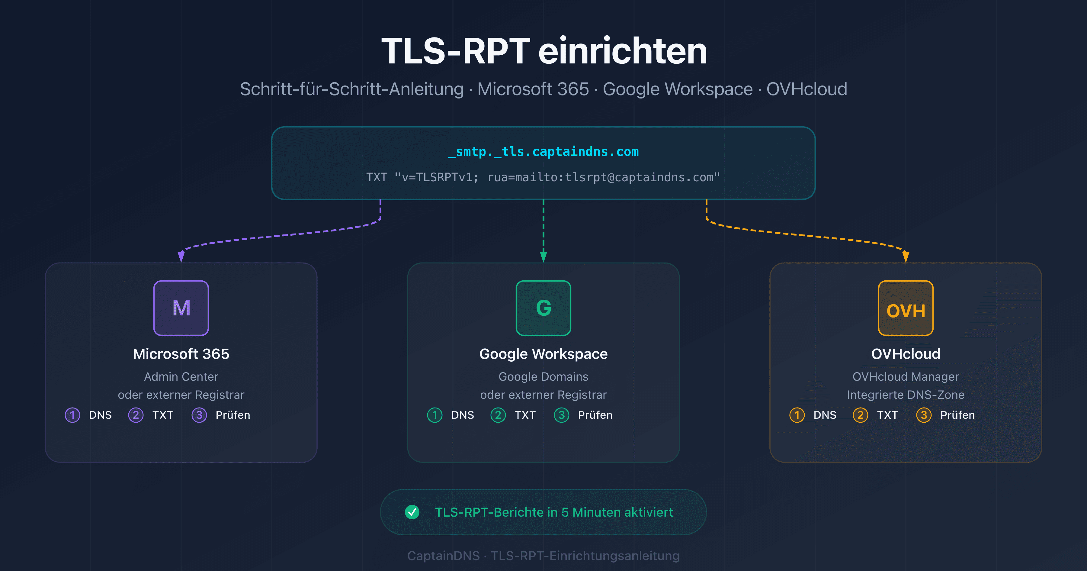 TLS-RPT auf Microsoft 365, Google Workspace und OVHcloud einrichten