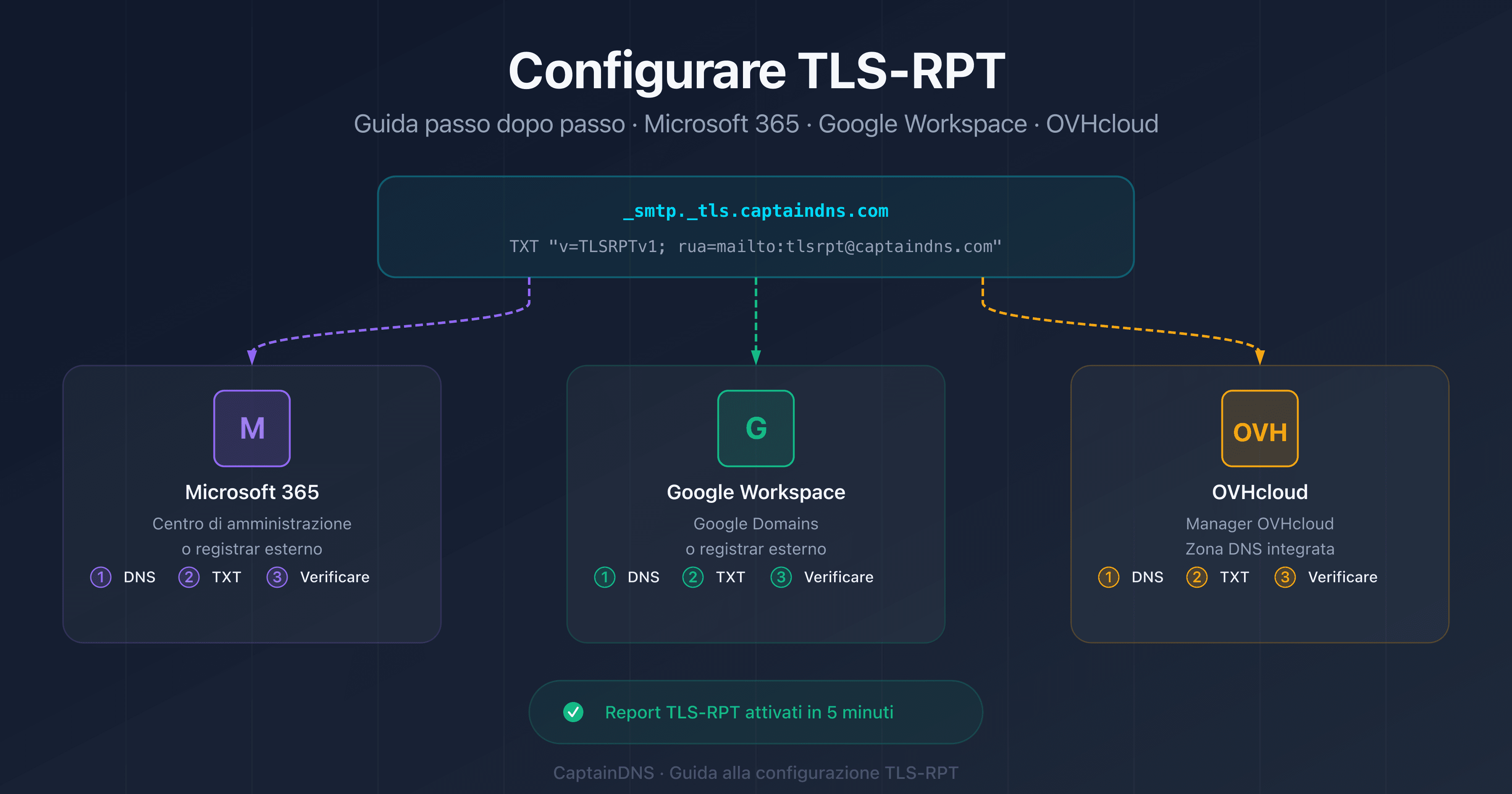 Configurare TLS-RPT su Microsoft 365, Google Workspace e OVHcloud