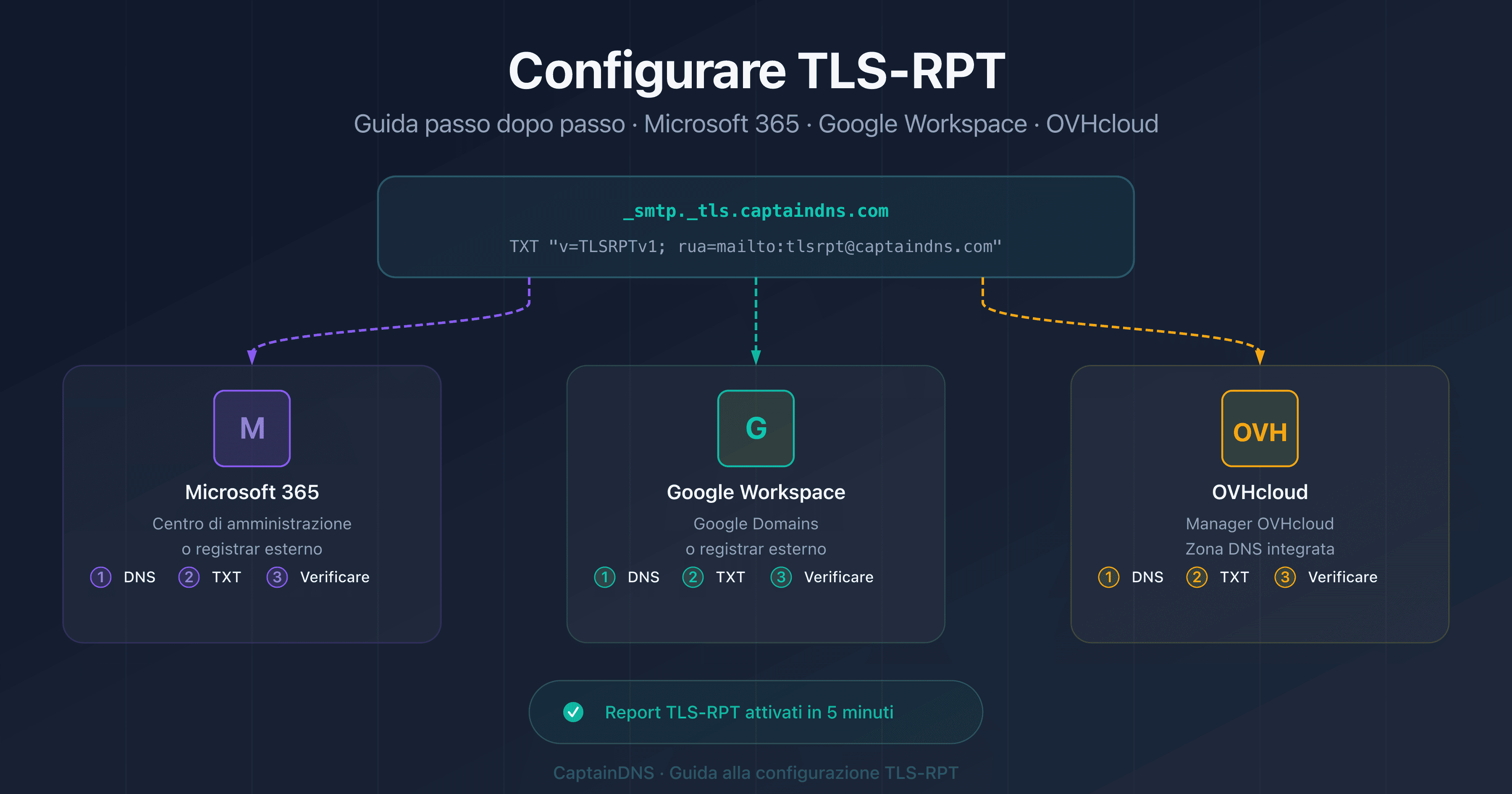 Configurare TLS-RPT su Microsoft 365, Google Workspace e OVHcloud