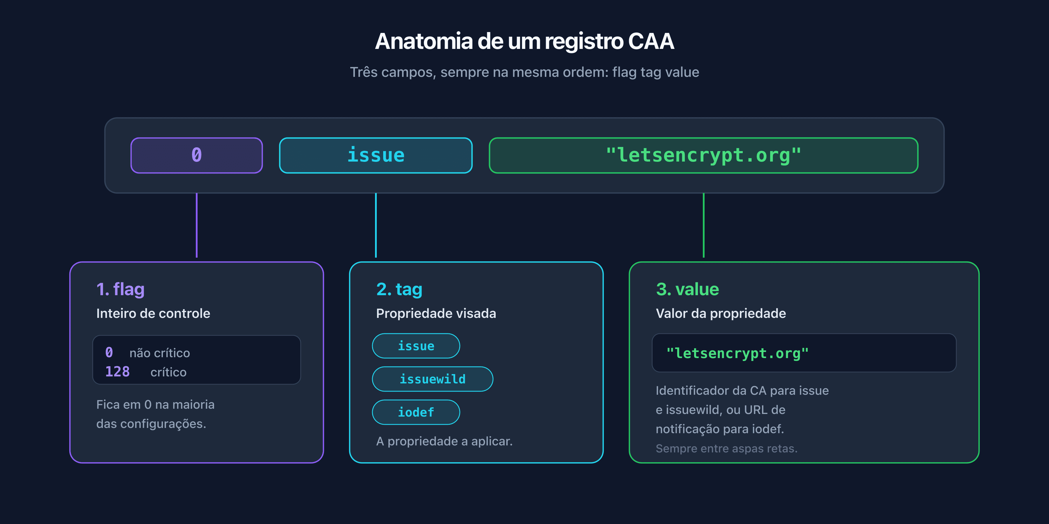 Anatomia de um registro CAA com os campos flag, tag e value anotados