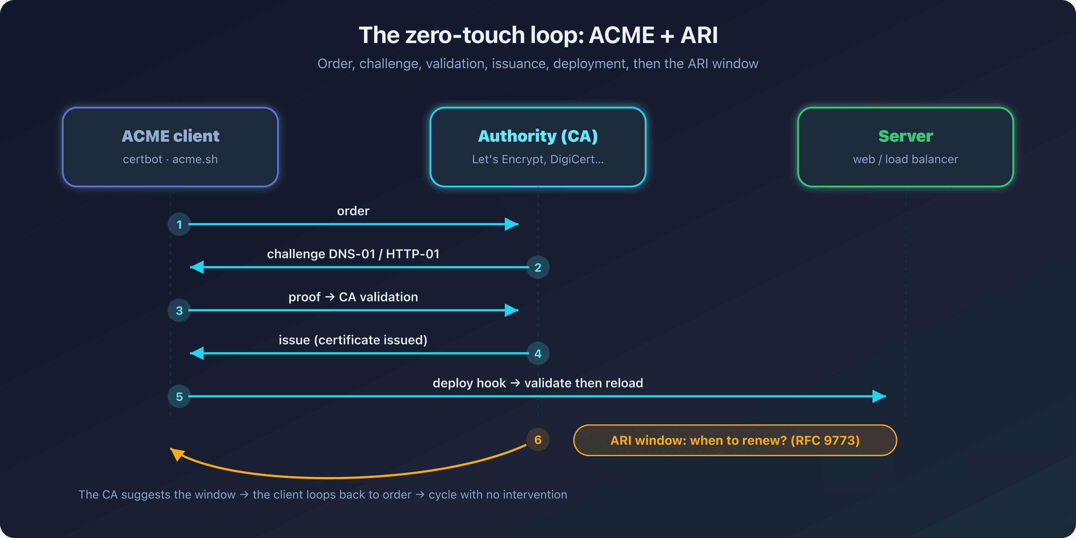 ACME and ARI automation loop connecting the client, the certificate authority, and the suggested renewal window, illustrating the zero-touch certificate renewal cycle