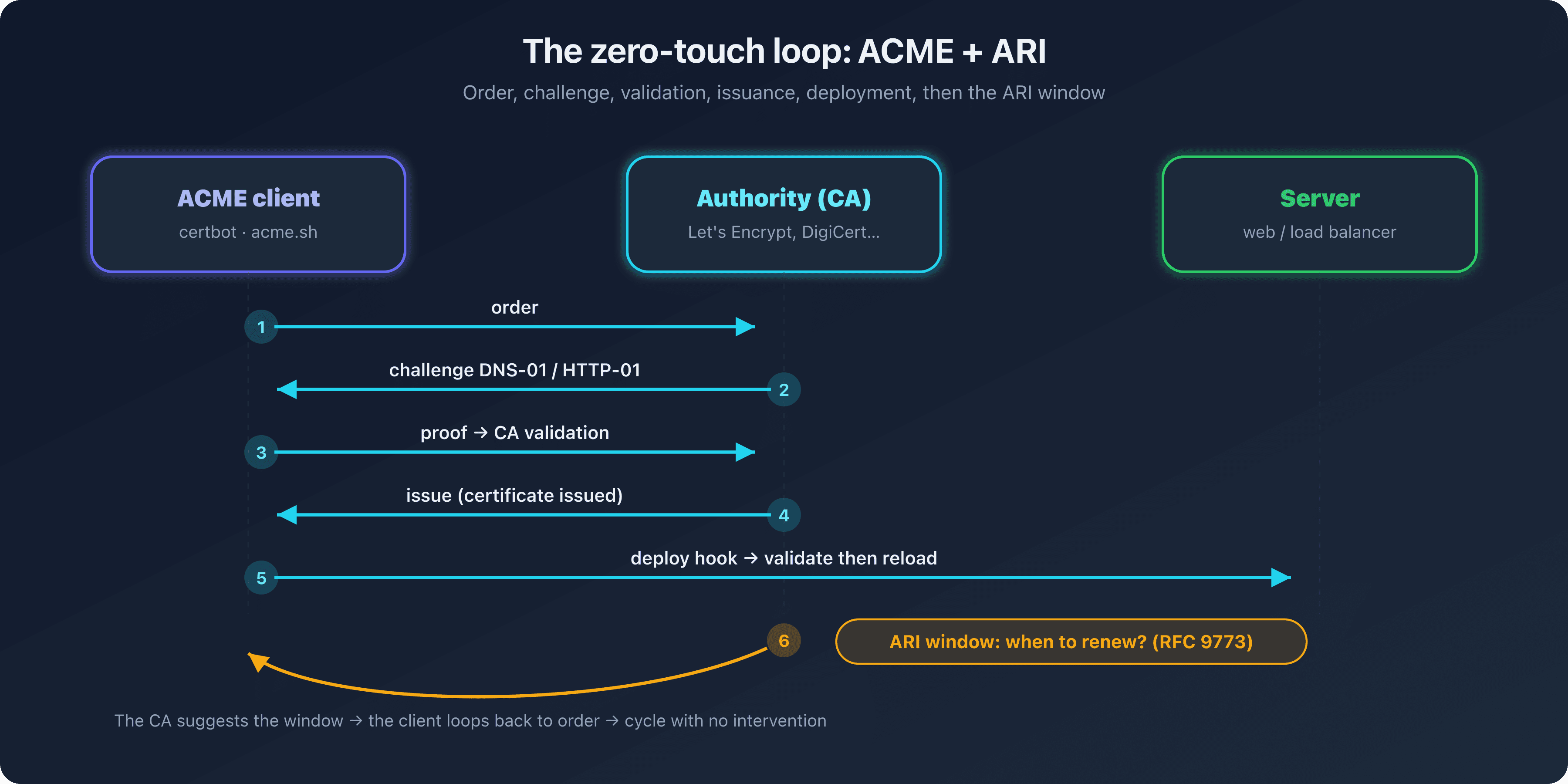 ACME and ARI automation loop connecting the client, the certificate authority, and the suggested renewal window, illustrating the zero-touch certificate renewal cycle