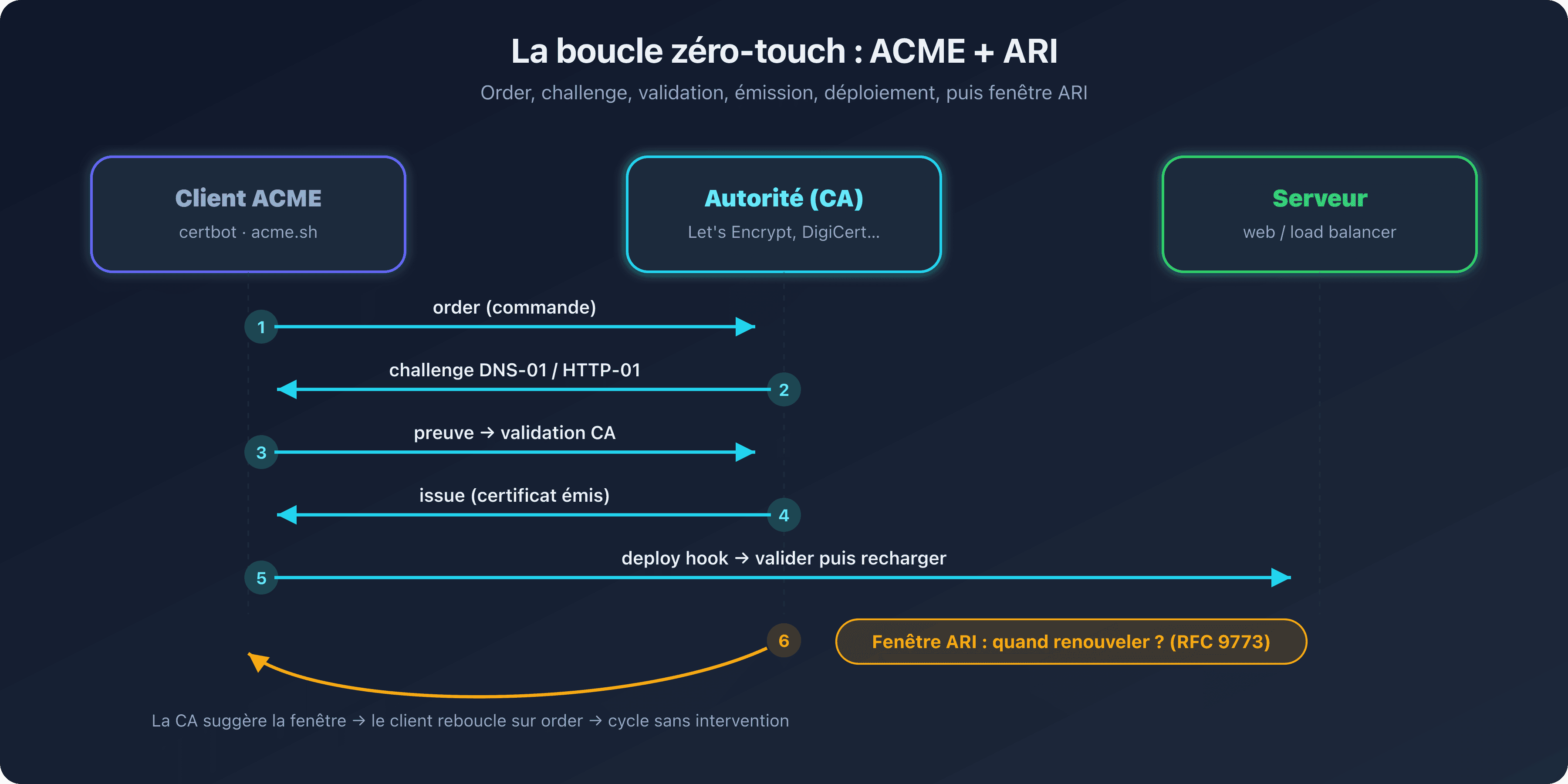 Boucle d'automatisation ACME et ARI reliant le client, l'autorité de certification et la fenêtre de renouvellement suggérée, illustrant le cycle zéro-touch de renouvellement des certificats