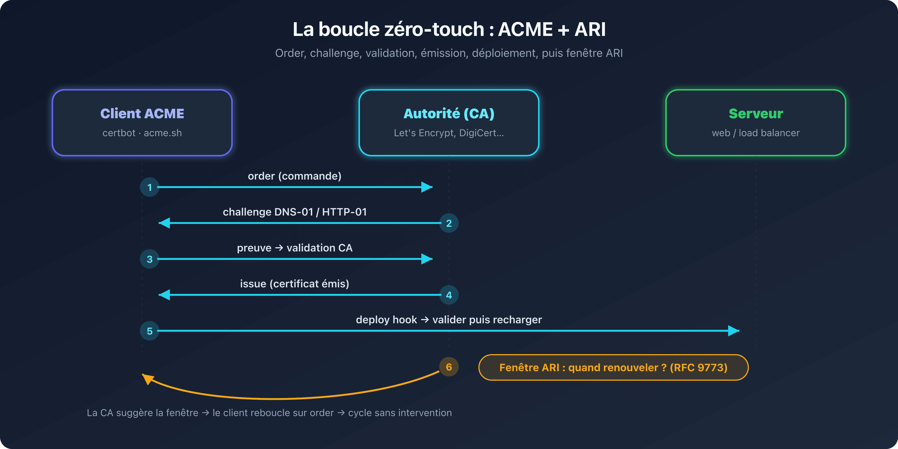 Boucle d'automatisation ACME et ARI reliant le client, l'autorité de certification et la fenêtre de renouvellement suggérée, illustrant le cycle zéro-touch de renouvellement des certificats