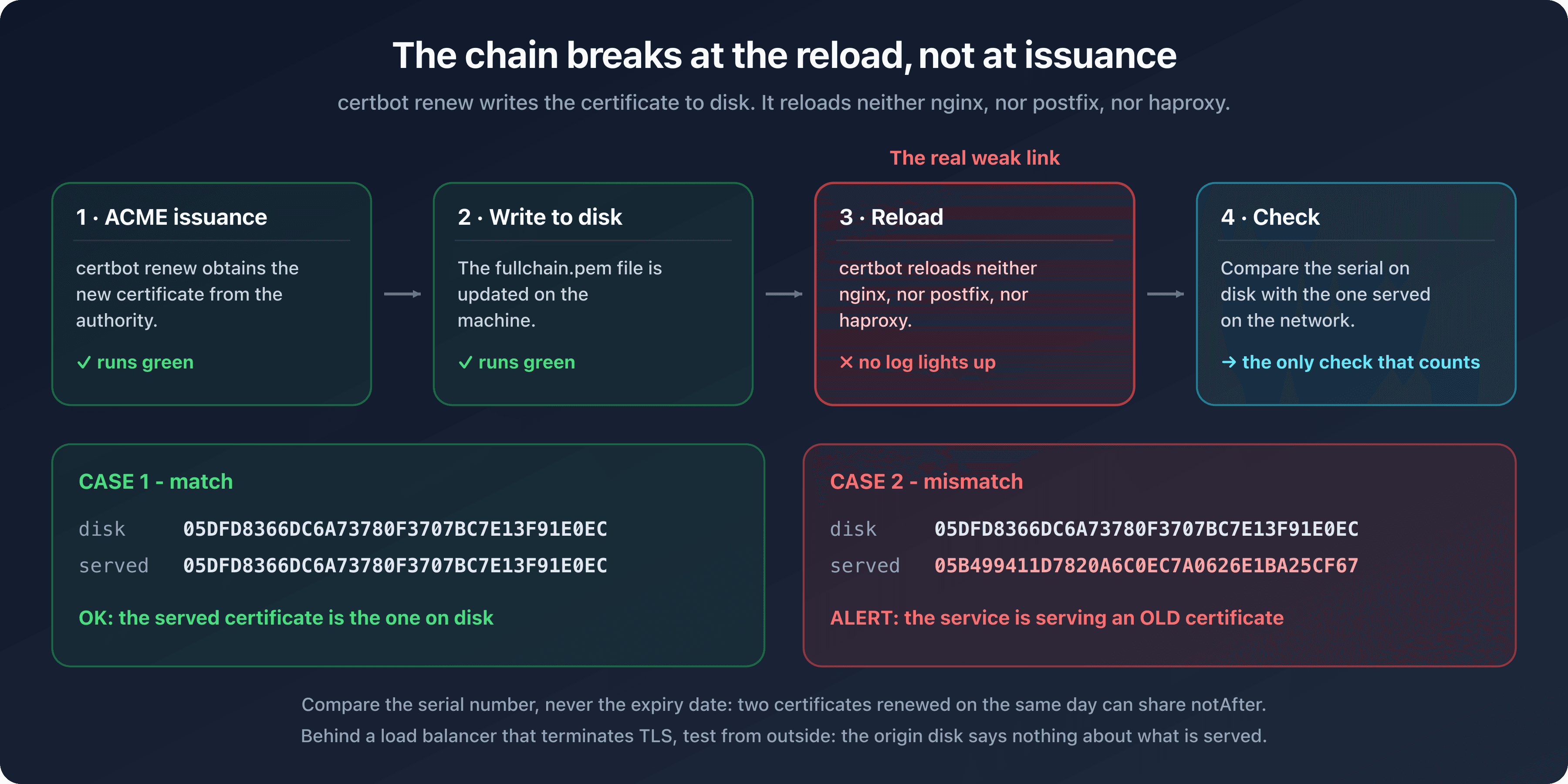 SSL/TLS certificate renewal chain, from issuance to disk write then service reload, with the check on the serial number actually served