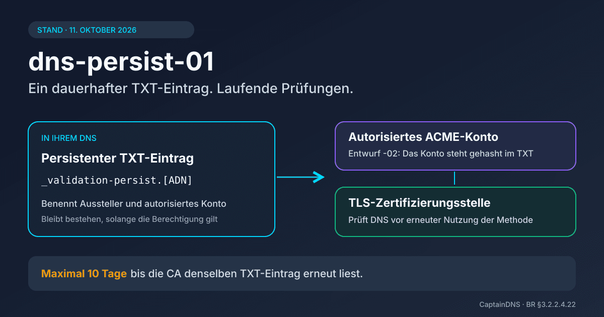 Schema der persistenten DNS-Validierung mit einem TXT-Eintrag, einem ACME-Konto und einer TLS-Zertifizierungsstelle