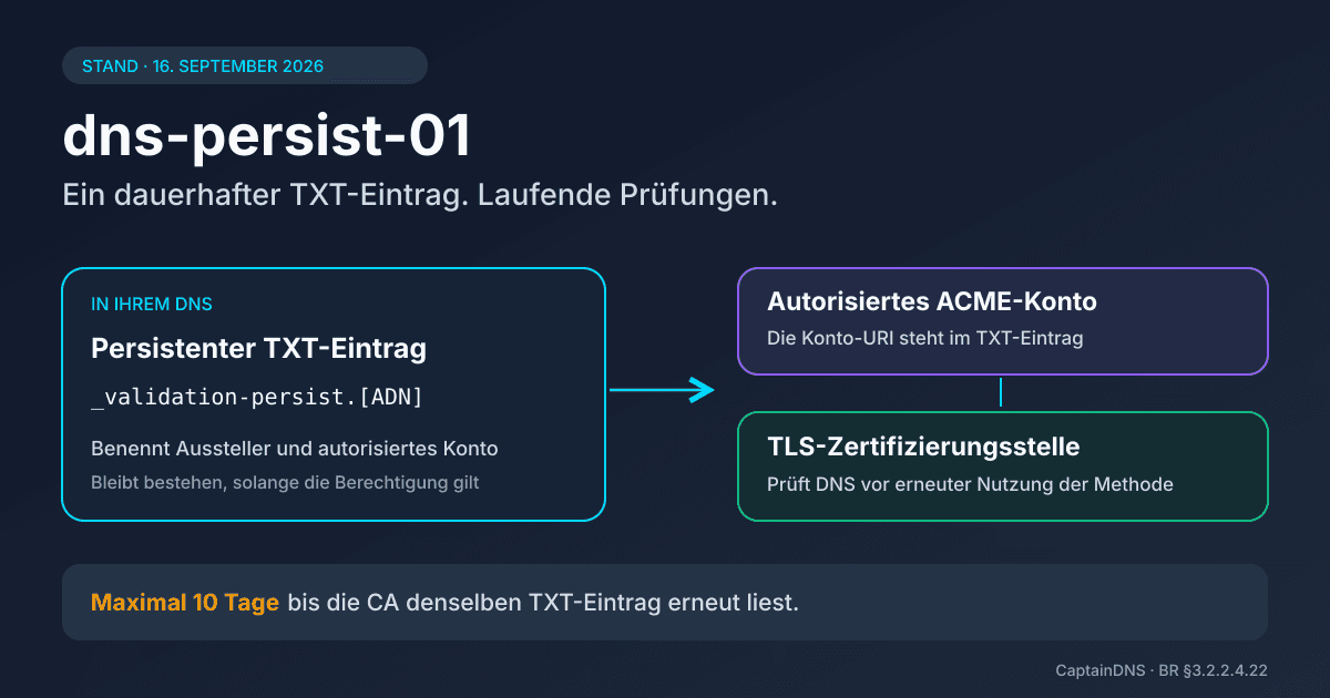 Schema der persistenten DNS-Validierung mit einem TXT-Eintrag, einem ACME-Konto und einer TLS-Zertifizierungsstelle