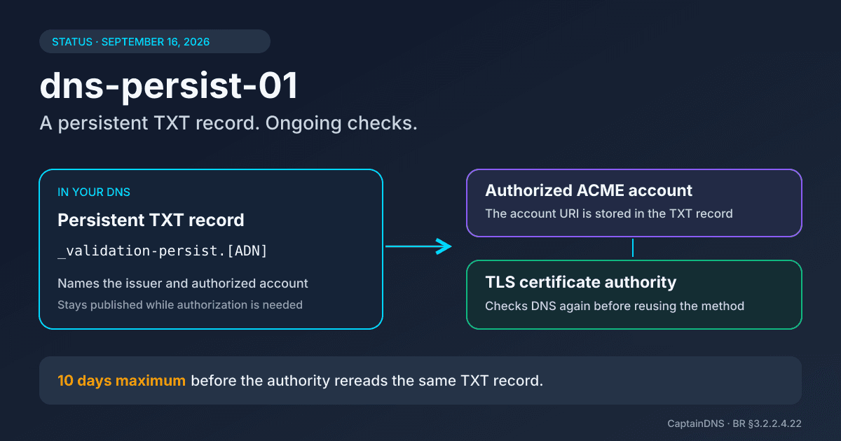 Persistent DNS validation diagram connecting a TXT record, an ACME account and a TLS certificate authority