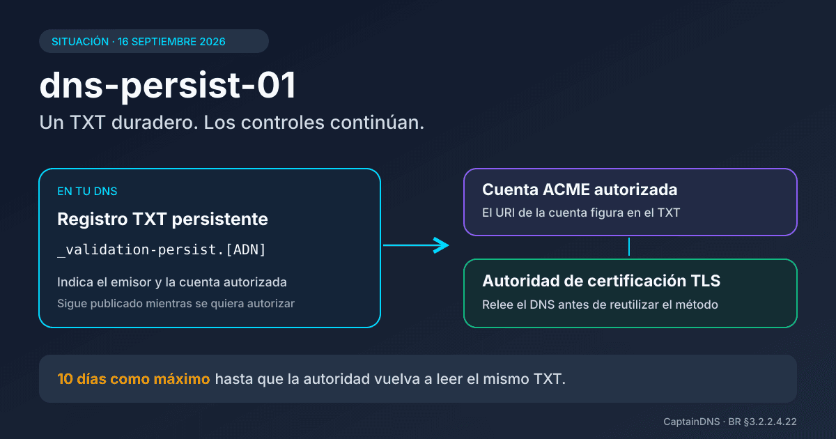 Diagrama de validación DNS persistente que conecta un registro TXT, una cuenta ACME y una autoridad de certificación TLS