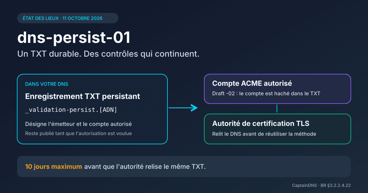 Schéma de validation DNS persistante reliant un enregistrement TXT, un compte ACME et une autorité de certification TLS