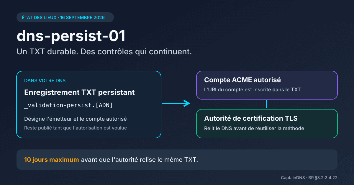 Schéma de validation DNS persistante reliant un enregistrement TXT, un compte ACME et une autorité de certification TLS