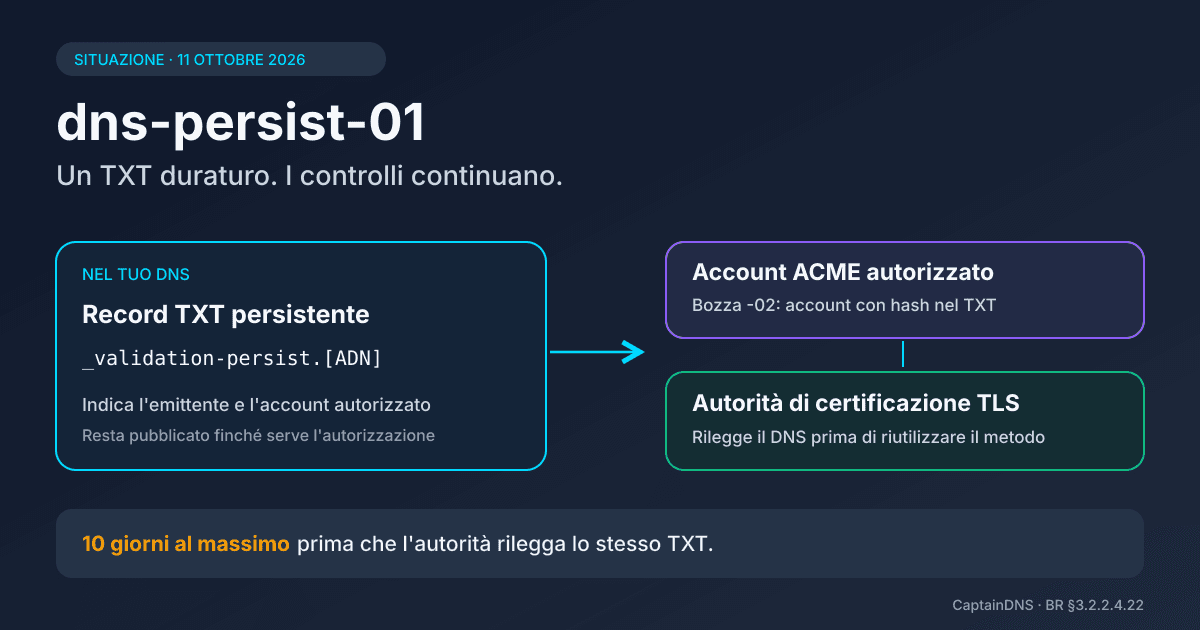 Schema di validazione DNS persistente che collega un record TXT, un account ACME e un'autorità di certificazione TLS