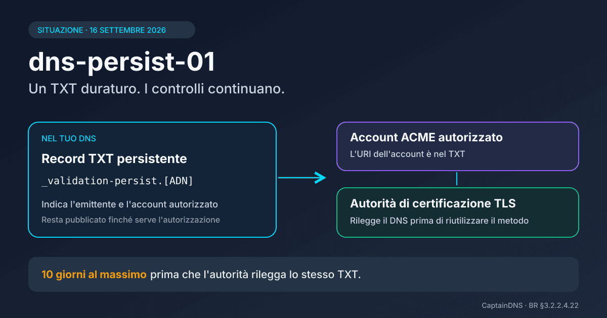 Schema di validazione DNS persistente che collega un record TXT, un account ACME e un'autorità di certificazione TLS