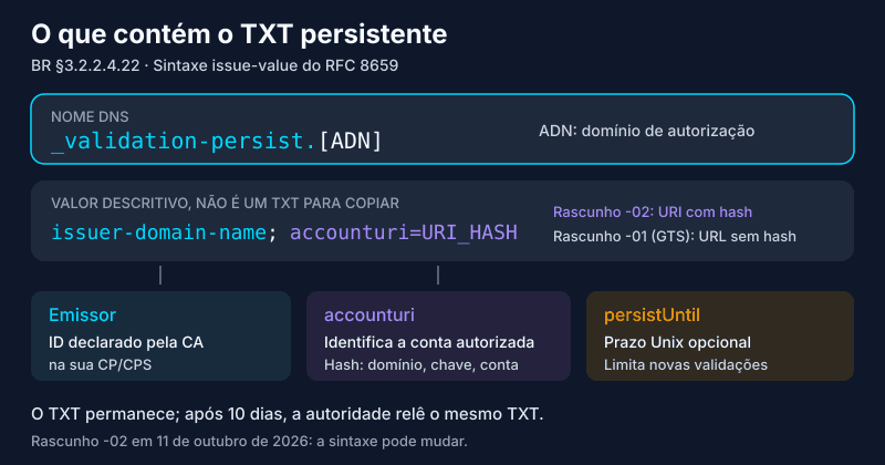 Anatomia do TXT _validation-persist: nome ADN, emissor, accounturi (URI com hash segundo o rascunho -02, URL em texto claro segundo o rascunho -01 seguido pelo GTS) e persistUntil opcional