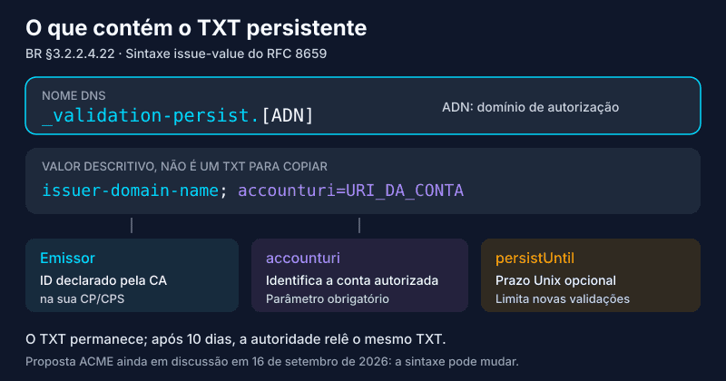 Anatomia do TXT _validation-persist: nome ADN, emissor, accounturi obrigatório e persistUntil opcional