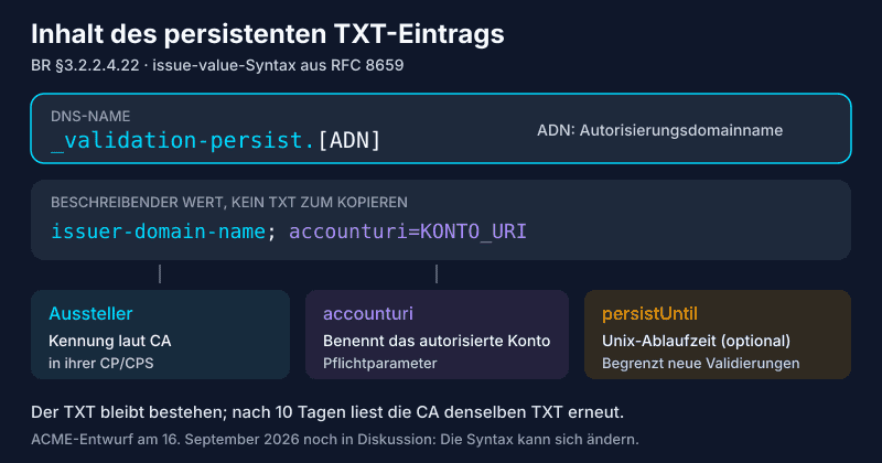 Aufbau des TXT-Eintrags _validation-persist: ADN-Name, Aussteller, erforderliches accounturi und optionales persistUntil