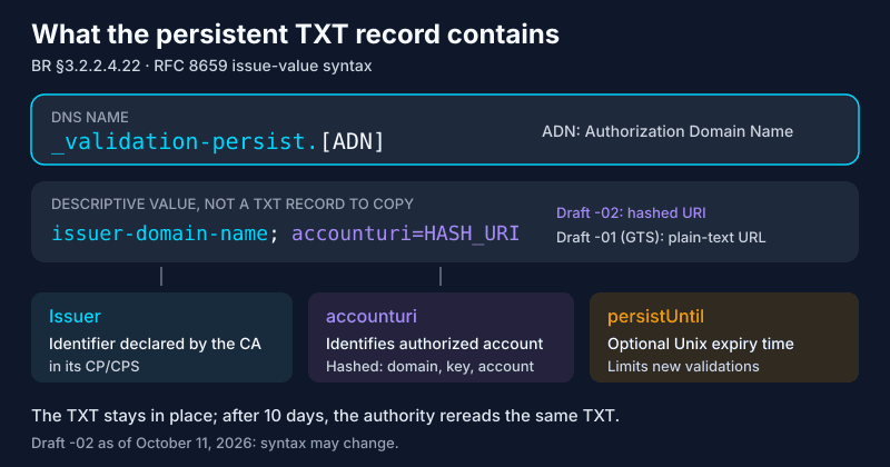 Anatomy of the _validation-persist TXT record: ADN name, issuer, accounturi (hashed URI under draft -02, plain-text URL under draft -01 as followed by GTS) and optional persistUntil