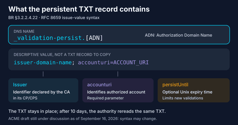 Anatomy of the _validation-persist TXT record: ADN name, issuer, required accounturi and optional persistUntil