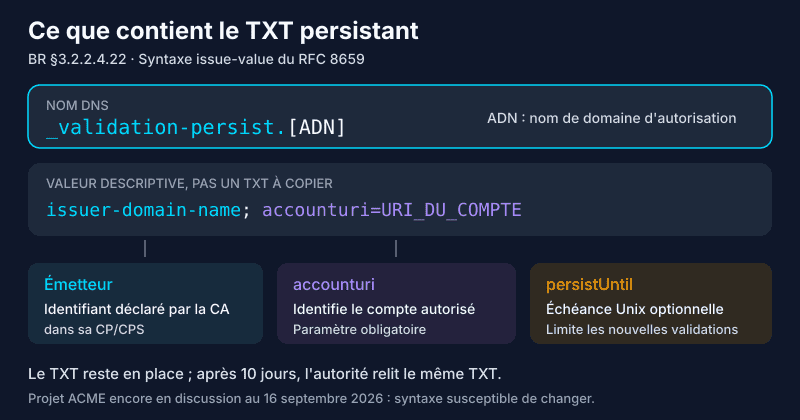 Anatomie du TXT _validation-persist : nom ADN, émetteur, accounturi obligatoire et persistUntil optionnel