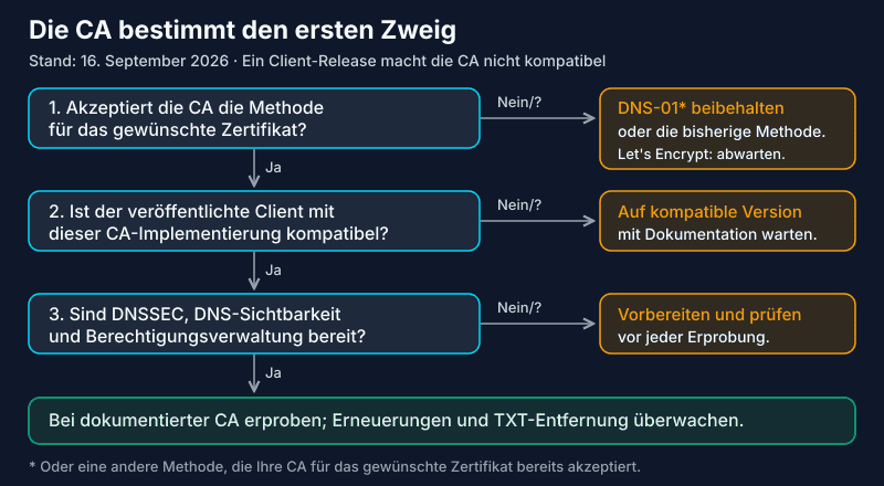 Entscheidungsbaum für dns-persist-01: Akzeptanz durch die CA, kompatibler Client, vorbereitetes DNS, dann Erprobung; andernfalls abwarten oder ein akzeptiertes Verfahren beibehalten