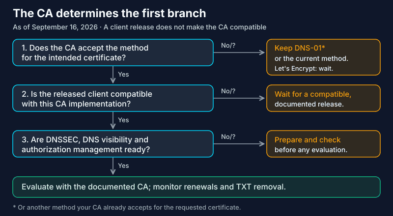 dns-persist-01 decision tree: CA acceptance, compatible client, ready DNS, then evaluation; otherwise wait or keep an accepted method