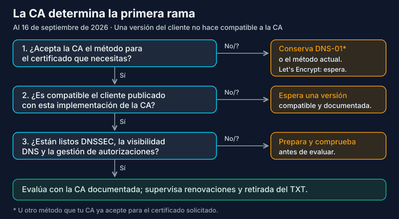 Árbol de decisión de dns-persist-01: aceptación por la CA, cliente compatible, DNS preparado y después evaluación; en caso contrario, esperar o mantener un método aceptado