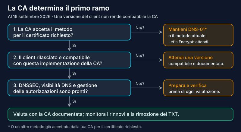 Albero decisionale dns-persist-01: accettazione della CA, client compatibile, DNS pronto, poi valutazione; altrimenti attendere o mantenere un metodo accettato