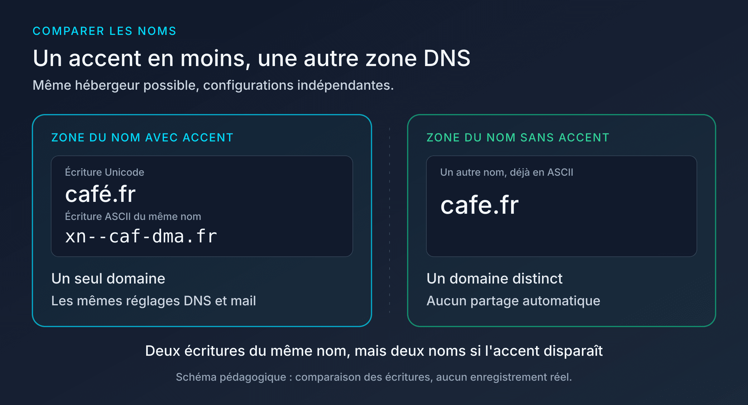 Nom de domaine avec ou sans accent : café.fr et xn--caf-dma.fr réunis dans une zone pédagogique, cafe.fr dans une zone indépendante